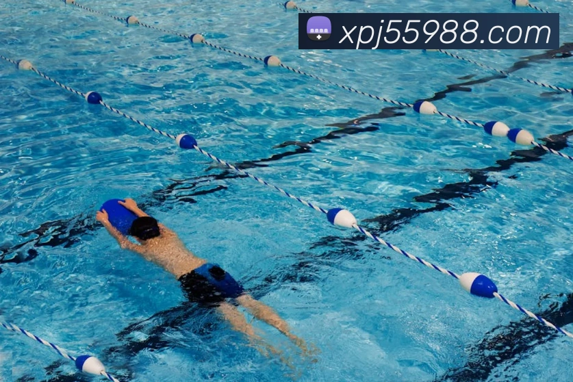 新葡京娱乐城官网APP 封面图